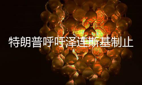 特朗普呼吁澤連斯基制止對(duì)普京的負(fù)面言論