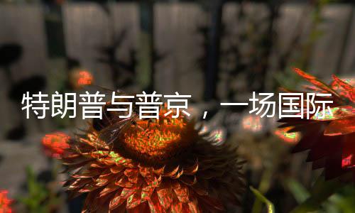 特朗普與普京，一場(chǎng)國(guó)際風(fēng)云中的嘻嘻較量