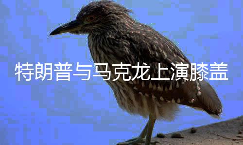 特朗普與馬克龍上演膝蓋外交，美法關系的重塑與挑戰(zhàn)