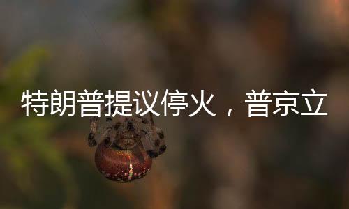 特朗普提議?；穑站┝⒓葱袆?dòng)，軍事響應(yīng)背后的深層考量