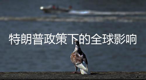 特朗普政策下的全球影響，針對(duì)所有輸美鋼鋁征收25%關(guān)稅