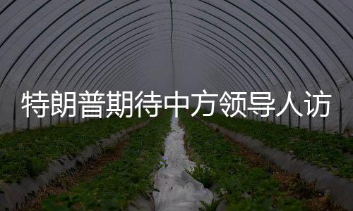 特朗普期待中方領(lǐng)導(dǎo)人訪美，中方回應(yīng)