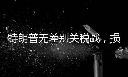 特朗普無差別關(guān)稅戰(zhàn)，損失最大的究竟是誰？