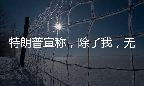 特朗普宣稱，除了我，無人能阻止普京——國際政治角力與全球視角解析
