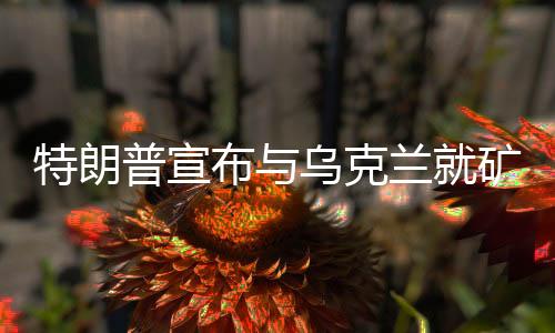 特朗普宣布與烏克蘭就礦產(chǎn)問(wèn)題達(dá)成重要協(xié)議，關(guān)鍵合作促成重大進(jìn)展