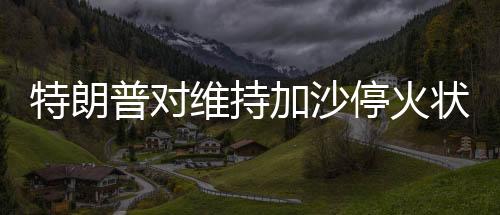 特朗普對維持加沙?；馉顟B(tài)缺乏信心，國際觀察與深度分析