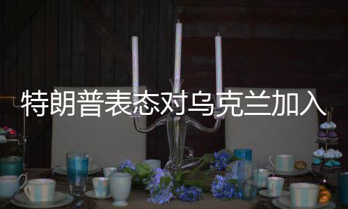 特朗普表態(tài)對烏克蘭加入北約持保留態(tài)度，認(rèn)為不切實(shí)際
