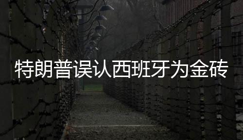 特朗普誤認西班牙為金磚國家，國際視野下的誤解與洞察