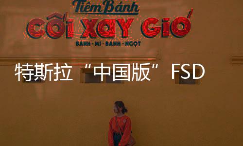 特斯拉“中國版”FSD有望降價(jià)？硅谷科技博主鄭峻：在美價(jià)格已從1.2萬美元降至 8000 美元