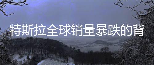 特斯拉全球銷量暴跌的背后，一個深入分析