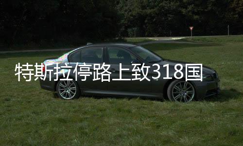 特斯拉停路上致318國(guó)道擁堵三小時(shí)事件引發(fā)關(guān)注