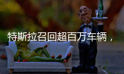 特斯拉召回超百萬車輛，安全至上，質(zhì)量無憂