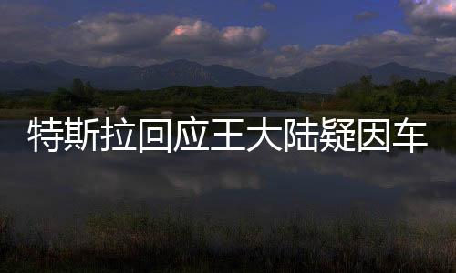 特斯拉回應(yīng)王大陸疑因車門涉刑案