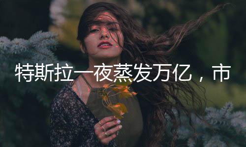 特斯拉一夜蒸發(fā)萬(wàn)億，市值巨震揭示產(chǎn)業(yè)與投資者的微妙關(guān)系