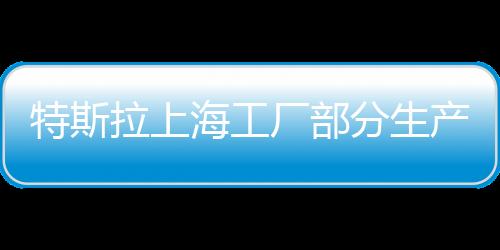 特斯拉上海工廠部分生產(chǎn)線將暫停生產(chǎn)，內(nèi)部調(diào)整與市場反應分析
