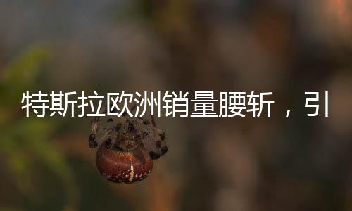 特斯拉歐洲銷量腰斬，引發(fā)市場深度關(guān)注