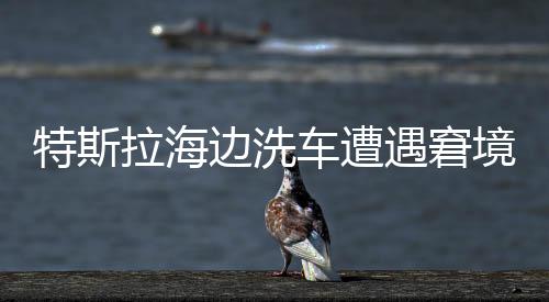 特斯拉海邊洗車遭遇窘境，無法開回引熱議