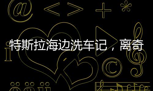 特斯拉海邊洗車記，離奇事件揭示科技與現(xiàn)實的碰撞