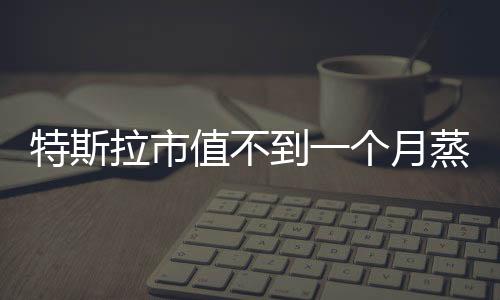 特斯拉市值不到一個(gè)月蒸發(fā)1.65萬億，電動(dòng)汽車巨頭面臨市場波動(dòng)挑戰(zhàn)