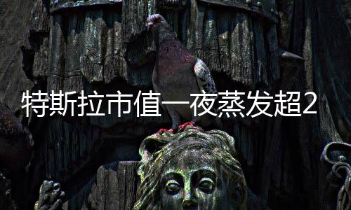 特斯拉市值一夜蒸發(fā)超2900億，市場(chǎng)波動(dòng)下的新能源汽車巨頭挑戰(zhàn)