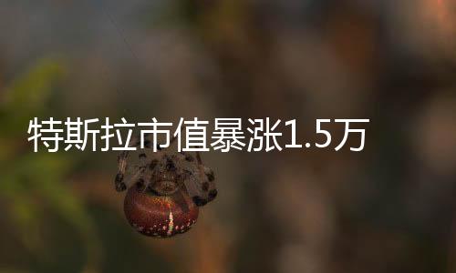 特斯拉市值暴漲1.5萬億，引領(lǐng)全球新能源汽車產(chǎn)業(yè)新篇章