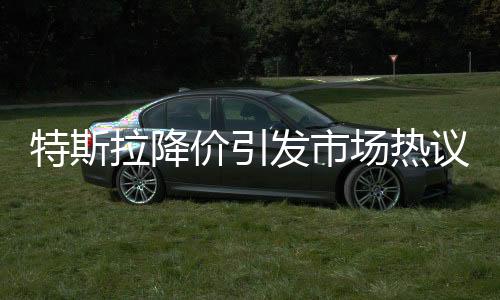 特斯拉降價(jià)引發(fā)市場(chǎng)熱議，一探究竟