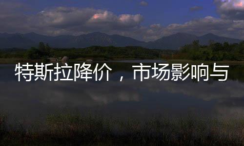 特斯拉降價，市場影響與未來展望