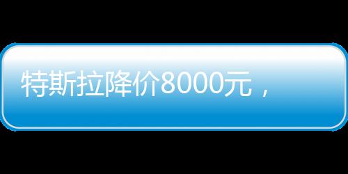 特斯拉降價(jià)8000元，新一輪市場(chǎng)策略引發(fā)行業(yè)熱議