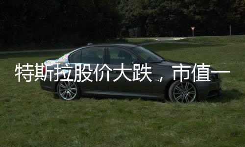 特斯拉股價大跌，市值一夜蒸發(fā)逾五千億美元——深度分析