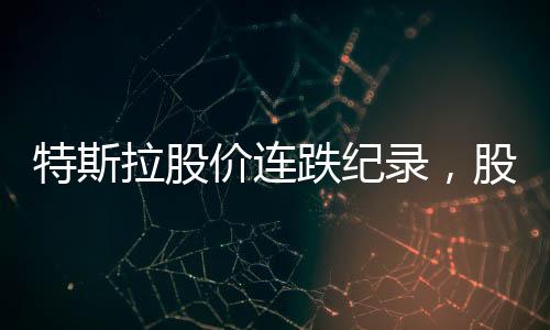 特斯拉股價(jià)連跌紀(jì)錄，股市風(fēng)云下的商業(yè)思考