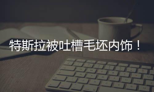 特斯拉被吐槽毛坯內(nèi)飾！陶琳：新能源車座艙不一定要奢華 必須環(huán)保