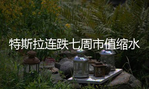 特斯拉連跌七周市值縮水逾半 馬斯克回應(yīng)引發(fā)市場(chǎng)熱議