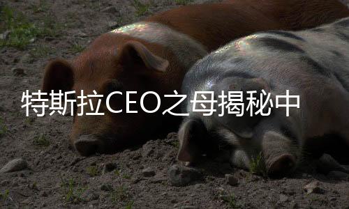 特斯拉CEO之母揭秘中國元素新風(fēng)尚，唐裝下的世界跨文化交流