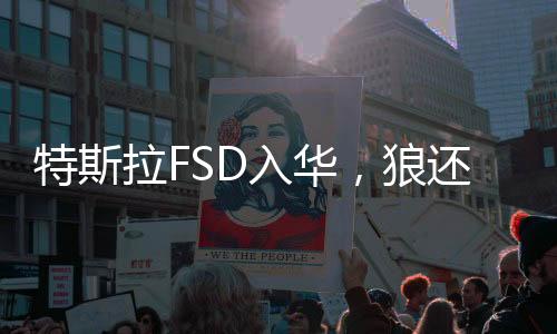特斯拉FSD入華，狼還是鯰魚？一場技術與市場的博弈