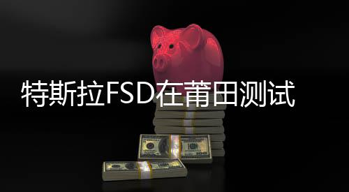 特斯拉FSD在莆田測試出現違規(guī)行為，連闖兩個紅燈，行業(yè)內外引起廣泛關注