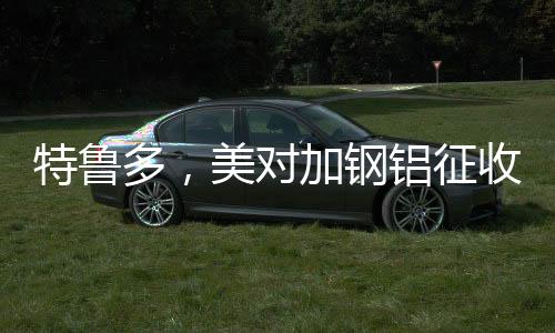 特魯多，美對(duì)加鋼鋁征收關(guān)稅不合理