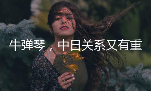 牛彈琴，中日關系又有重大突破