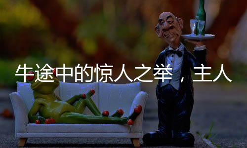 牛途中的驚人之舉，主人親歷賣牛途中牛突然下跪的奇異經(jīng)歷