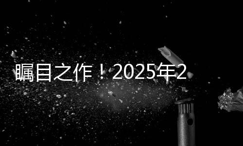 矚目之作！2025年2月電影市場總票房沖破160億大關(guān)——行業(yè)深度分析