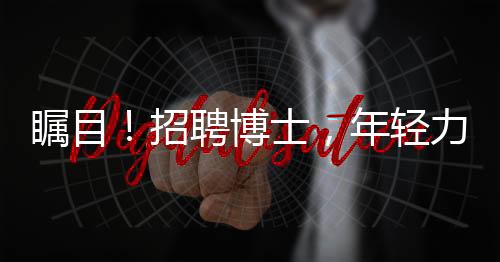 矚目！招聘博士，年輕力量等你加盟，28歲以下才子不可錯(cuò)過(guò)！
