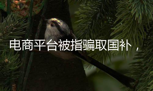 電商平臺被指騙取國補，聚焦背后的真相與反思