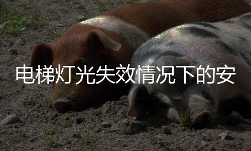 電梯燈光失效情況下的安全警示，切勿乘坐電梯