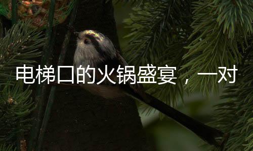 電梯口的火鍋盛宴，一對(duì)夫婦的悠閑時(shí)光與外賣小哥的意外邂逅