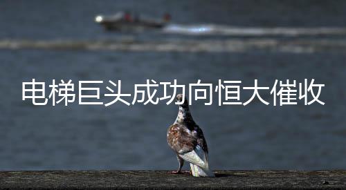 電梯巨頭成功向恒大催收4.62億，業(yè)務(wù)合作與資金糾紛的解析