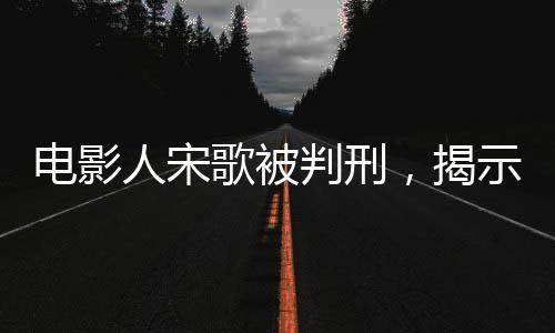 電影人宋歌被判刑，揭示業(yè)界內幕與法律正義