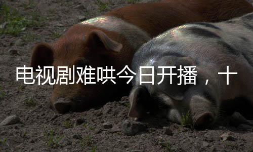 電視劇難哄今日開播，十段情感引你深思
