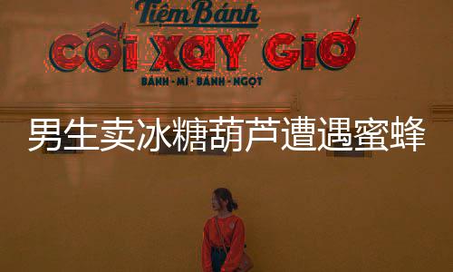 男生賣冰糖葫蘆遭遇蜜蜂嚴(yán)選——街頭小販的意外挑戰(zhàn)