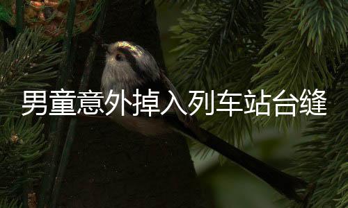 男童意外掉入列車站臺縫隙的新聞