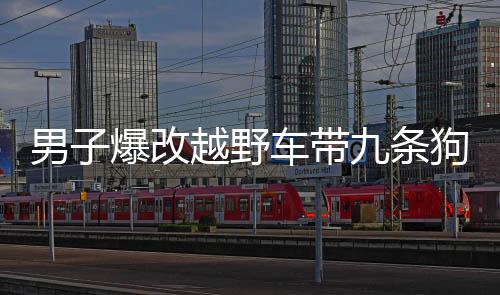 男子爆改越野車帶九條狗回鄉(xiāng)過年，人與動物情感彰顯新篇章