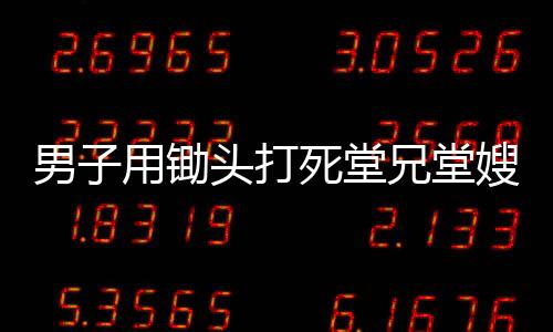 男子用鋤頭打死堂兄堂嫂被判死緩，罪行背后的細(xì)節(jié)揭示與法理剖析